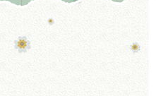 网红图素材,捕捉潮流瞬间的视觉盛宴