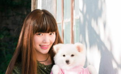 小姐姐和狗的壁纸热门图,小姐姐与狗狗壁纸热门图集锦