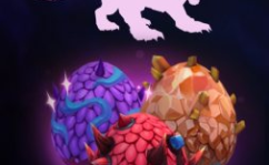 飞龙网红,揭秘网络红人的崛起之路